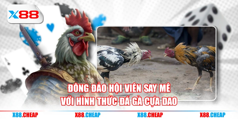 Đông đảo hội viên say mê với hình thức đá gà cựa dao